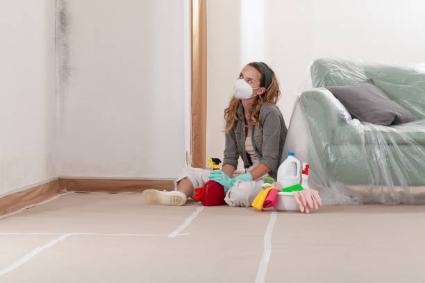 Reliable Mold Cleanup contractor in New Hope, PA by Cheap Mold Removal